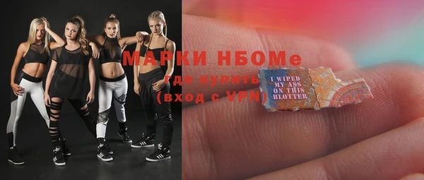 индика Михайловск