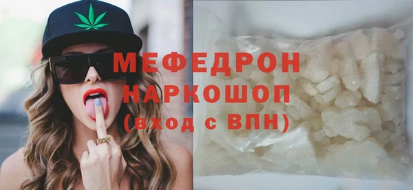 индика Михайловск