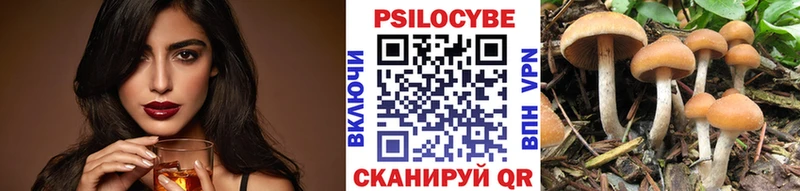 Купить где  Зверево  Псилоцибиновые грибы мухоморы 