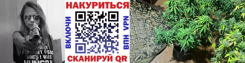 Канабис семена  Купить  Зверево 